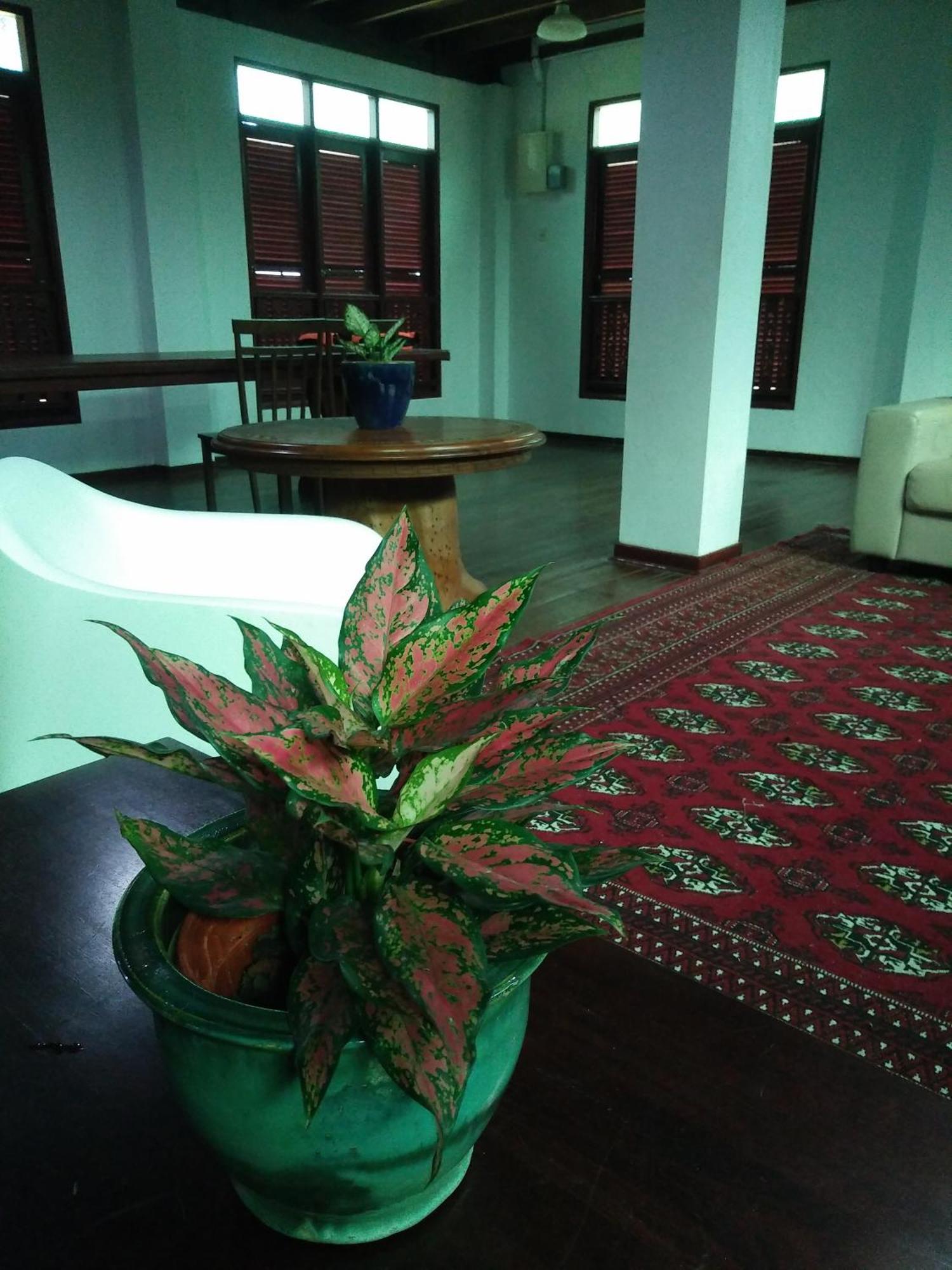 Willa Thesanctuary@Telagapapan Kampung Hulu Caluk Zewnętrze zdjęcie